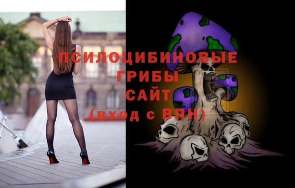 крисы Богородицк
