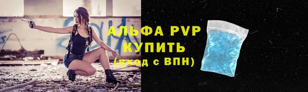 гашик Богородск