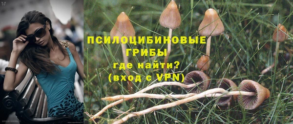 крисы Богородицк