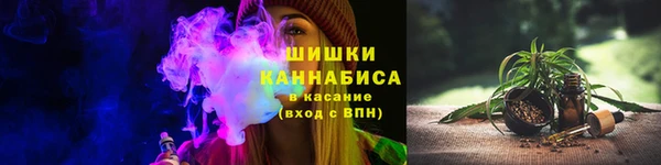 гашик Богородск