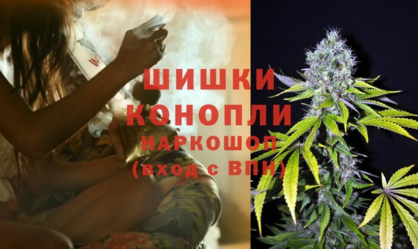 гашик Богородск