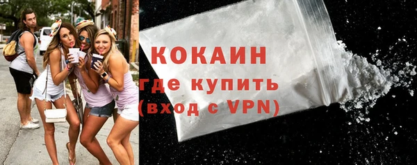 крисы Богородицк
