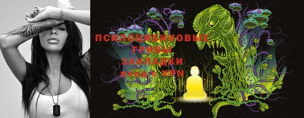 крисы Богородицк