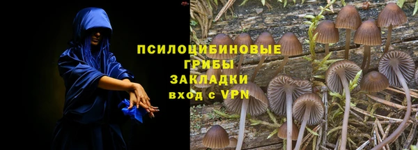 COCAINE Богданович