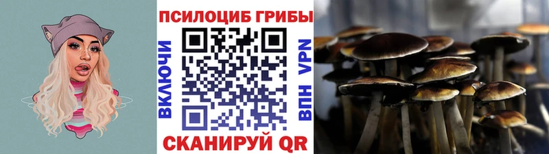 где продают   Ухта  дарк нет официальный сайт  Псилоцибиновые грибы прущие грибы 
